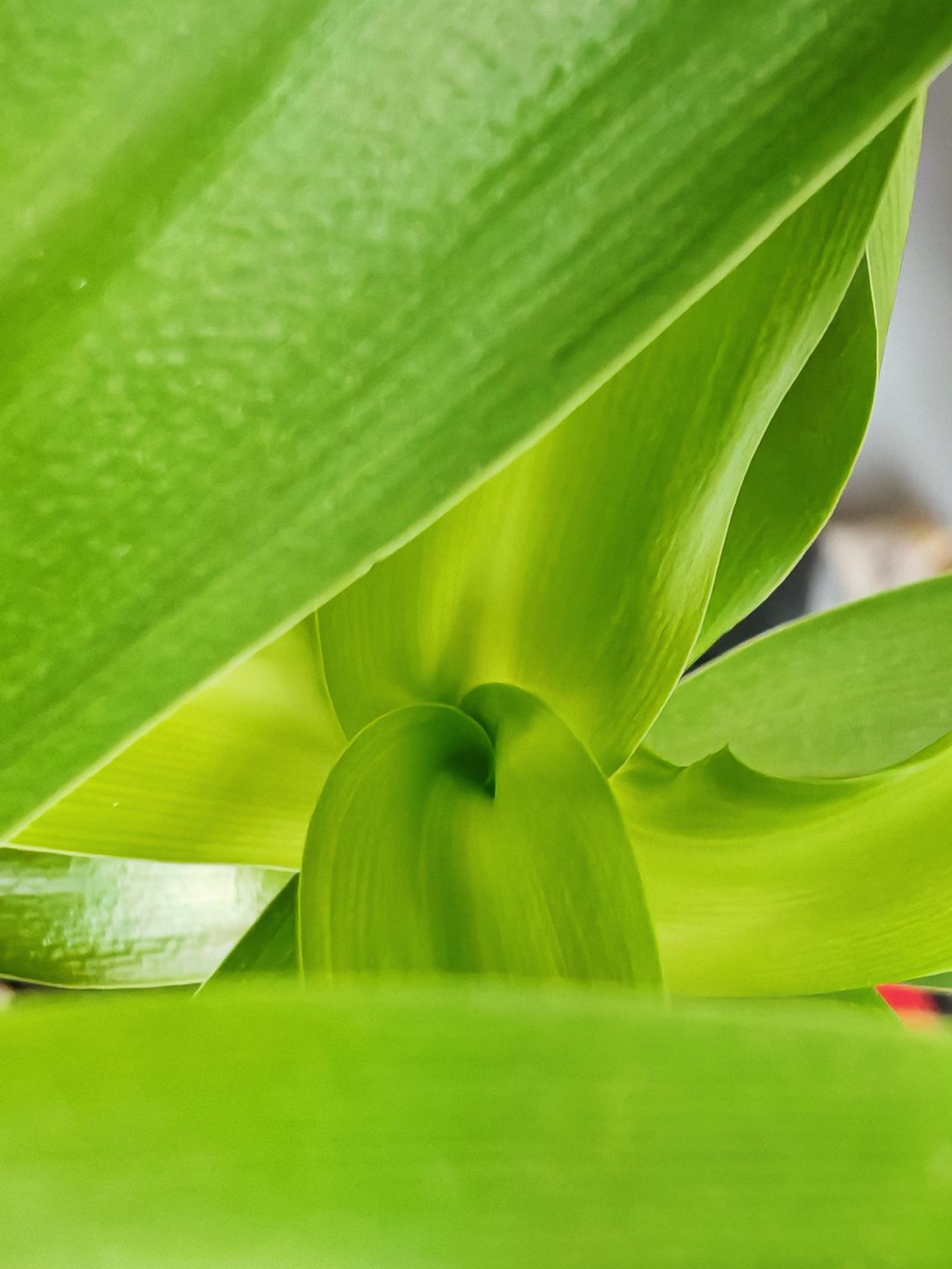 与痛风斗争的历程126

   清晨的阳光透过窗帘缝隙洒在床单上，我懒洋洋地蜷缩