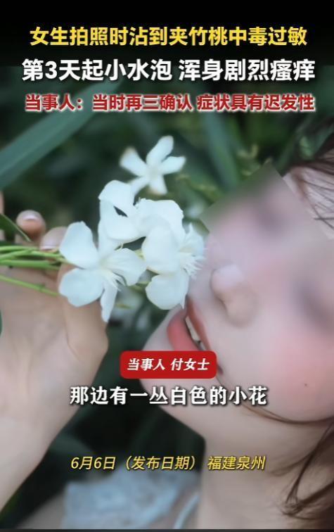 6月6日傍晚，福建泉州。当女士轻巧地采下一朵白花，想让它映着脸颊完成一次唯美的打