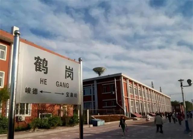 在黑龙江鹤岗2万块钱买了房子鹤岗的房子咋又冒出来了，就算2万买了房子，供暖也跟不