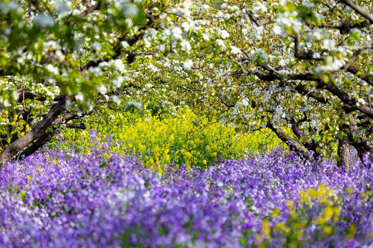 【OPC创业公司架构设计｜避开“无限责任”的隐形陷阱】常有人误以为：自己100%
