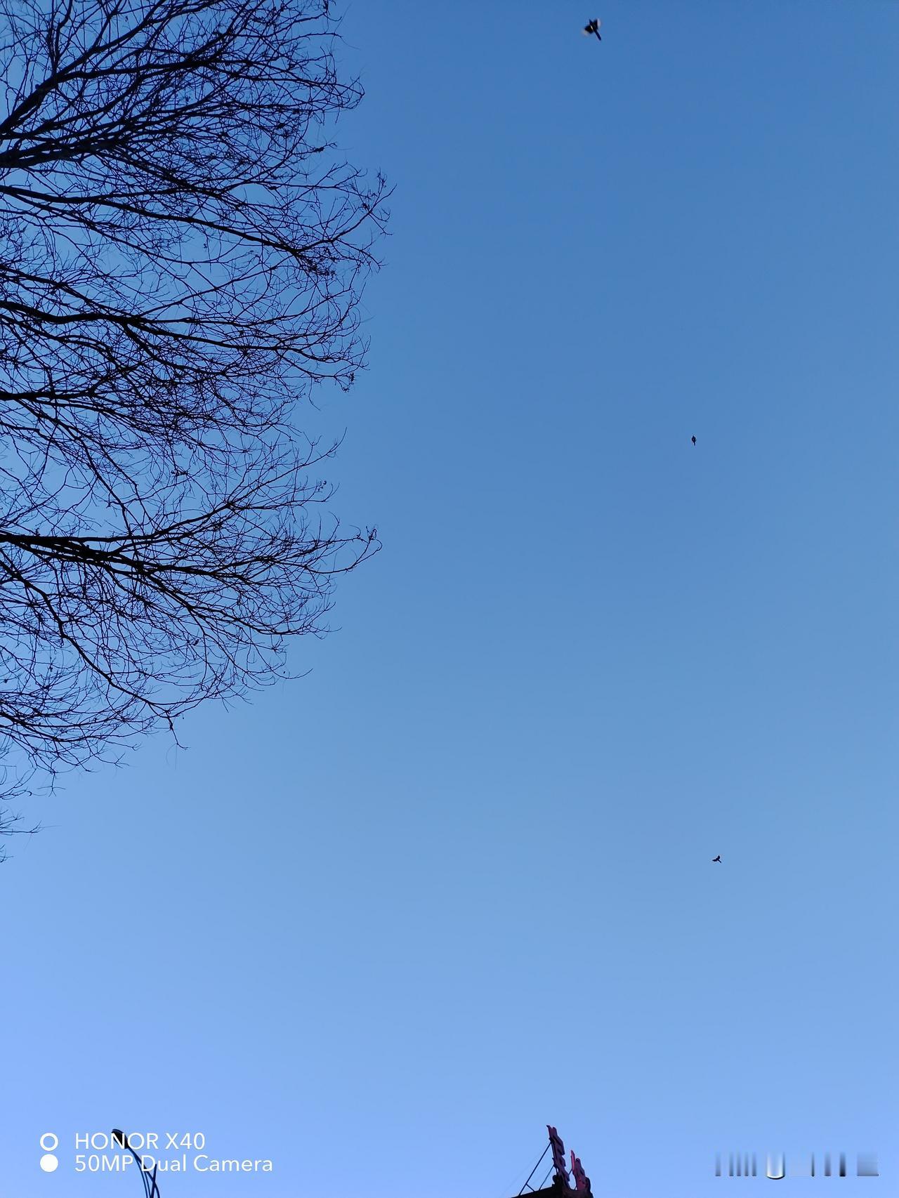 今天又出去溜达一圈，骑着自行车，接受暖暖的冬日阳光。竟然感觉也不那么冷。所以学会