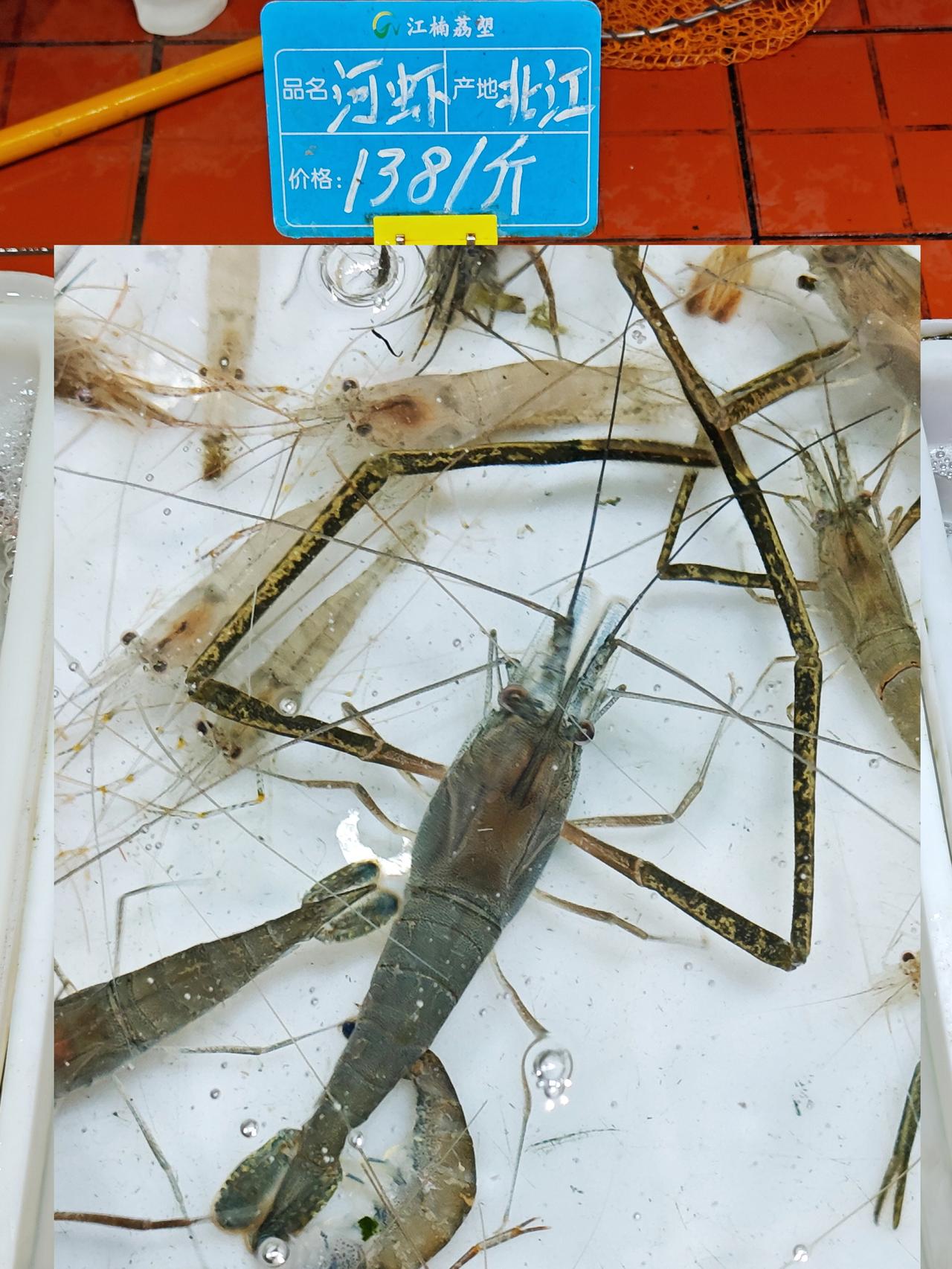 北江大河虾138，北江罗非鱼18，我选后者

大河虾太贵了，北江罗非鱼我买过一次