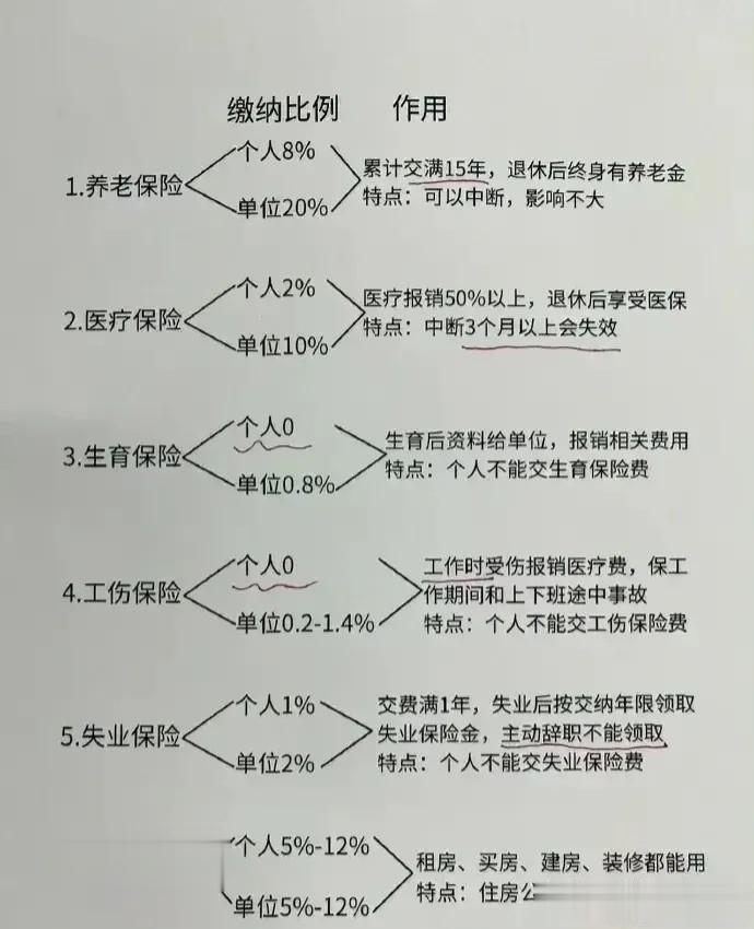 天呐！！终于有人把五险一金说透了！！包含了缴纳比例和用途！！太明确了，看完后才觉