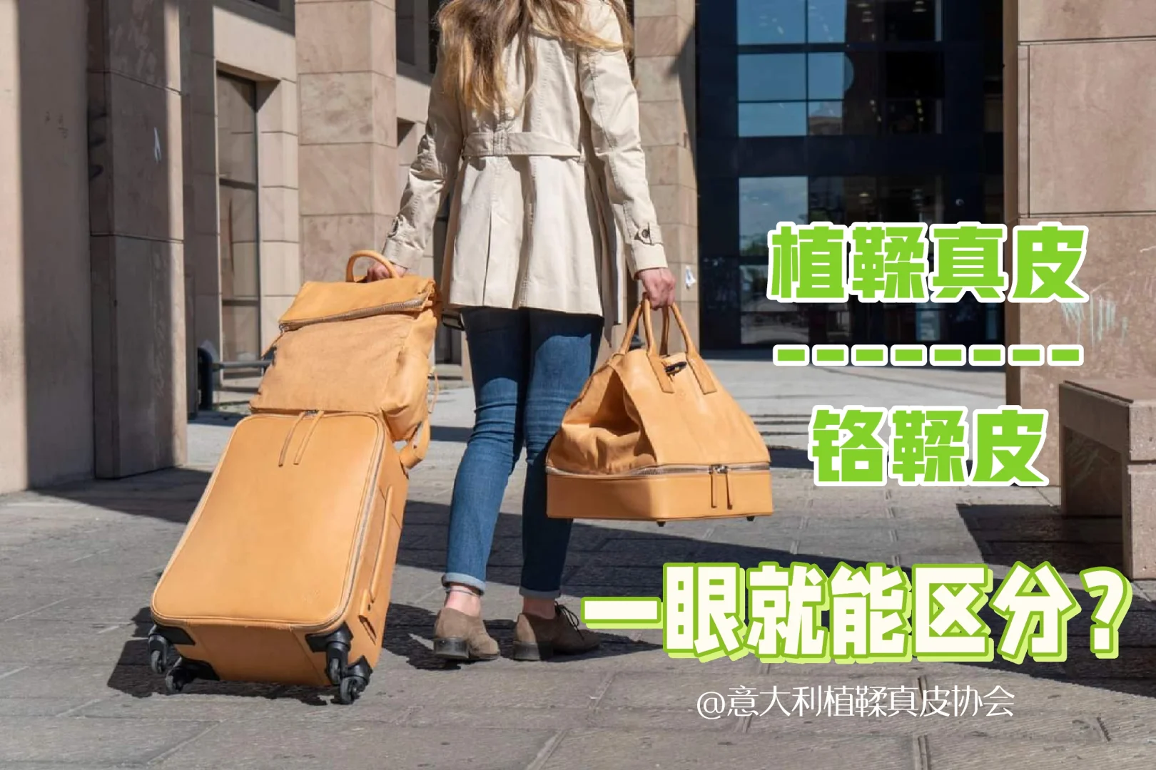 🤔如何一眼区分植鞣真皮和铬鞣皮？