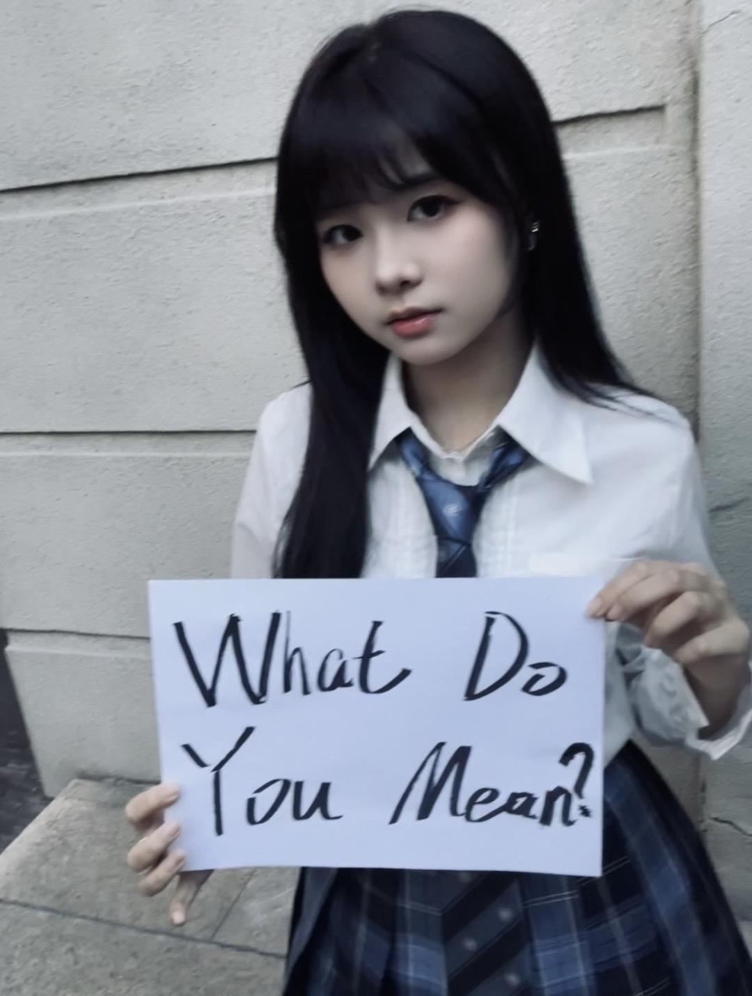 What Do You Mean?