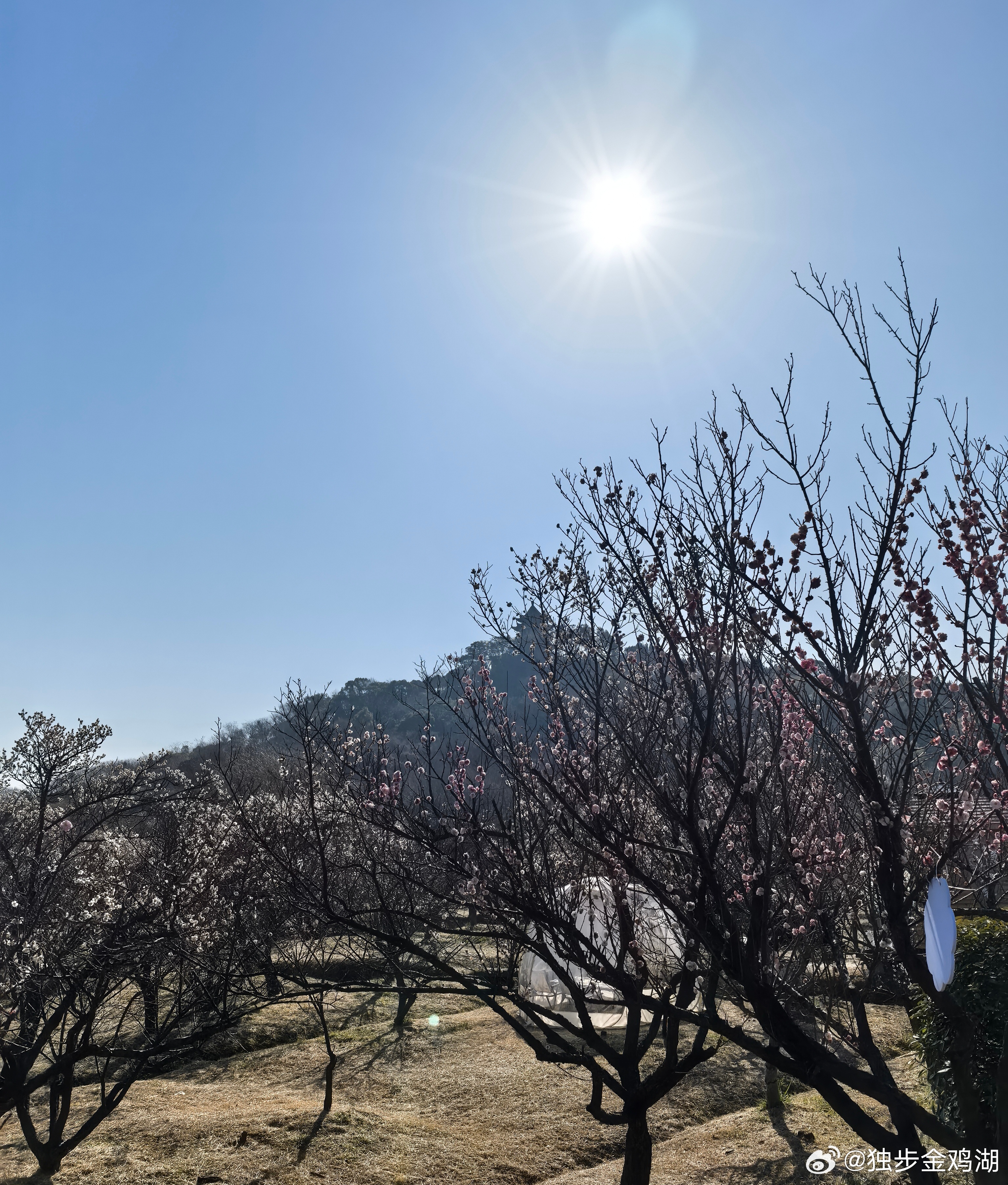 心里话         每天多一点点的努力，不为别的只为日后多一些选择。    