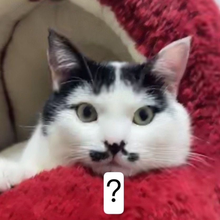 我说也尤其是在这个平台，对两面三刀的下见人最好的待遇就是别给眼神，别去操作，別有