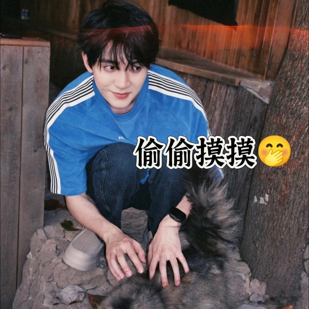 小猫吵架 小猫和好 看着周翊然闹小脾气的样子，感觉就像养了一只傲娇的小猫咪。虽然