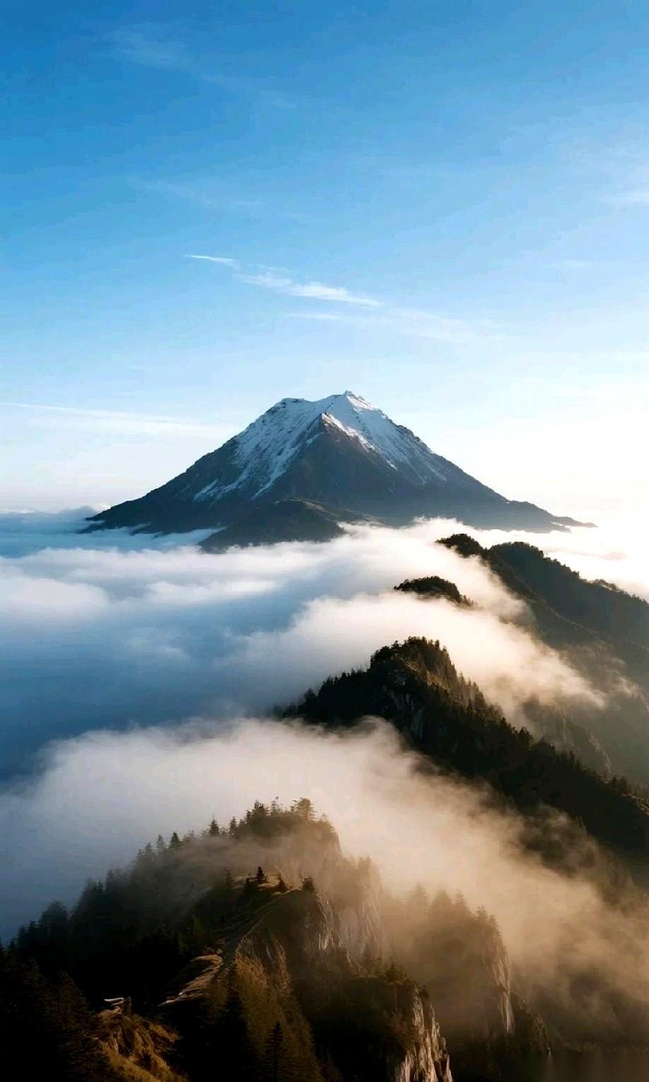 你孩子中考考211，高中拼985，第一步根本不是看成绩，而是先把他手里那块“砖头