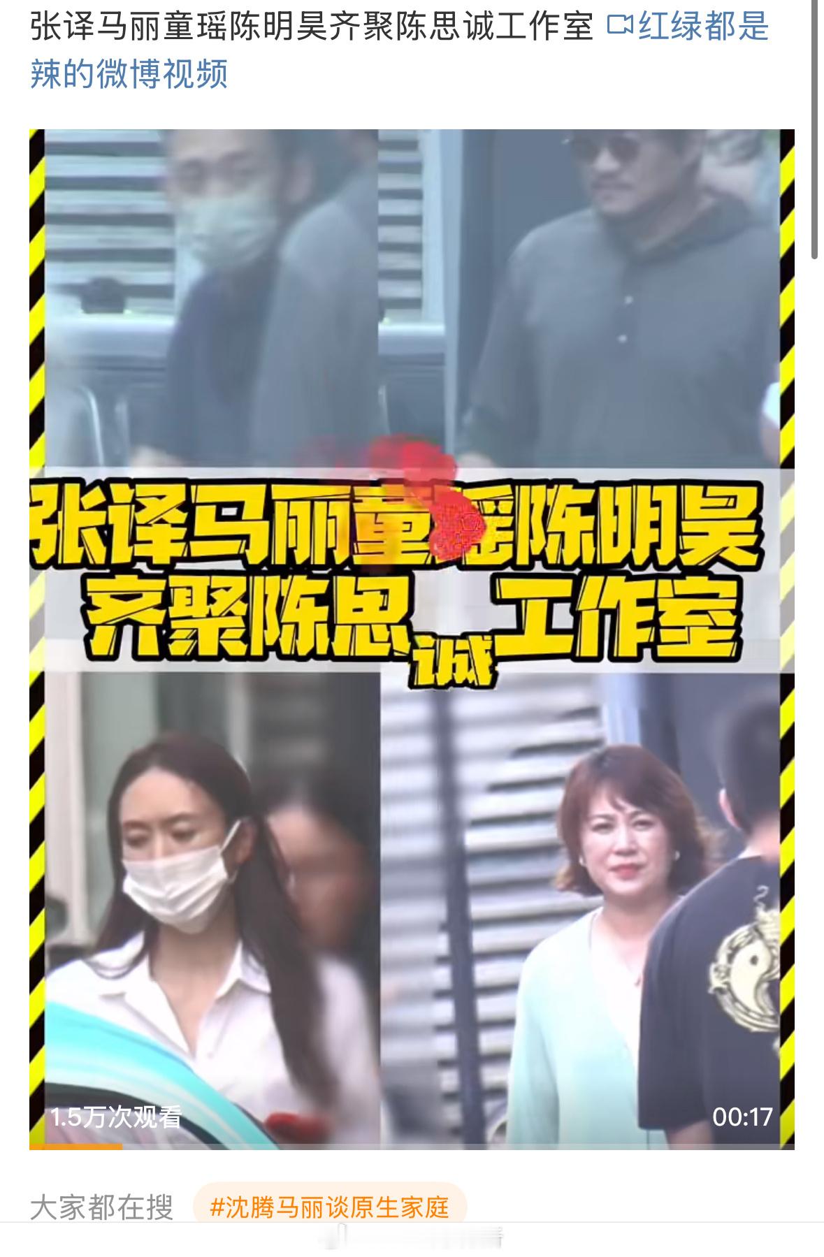 电影《中国神探》 （神探之痕迹三部曲第一部）主演：张译、马丽导演：陈思诚 ​​​