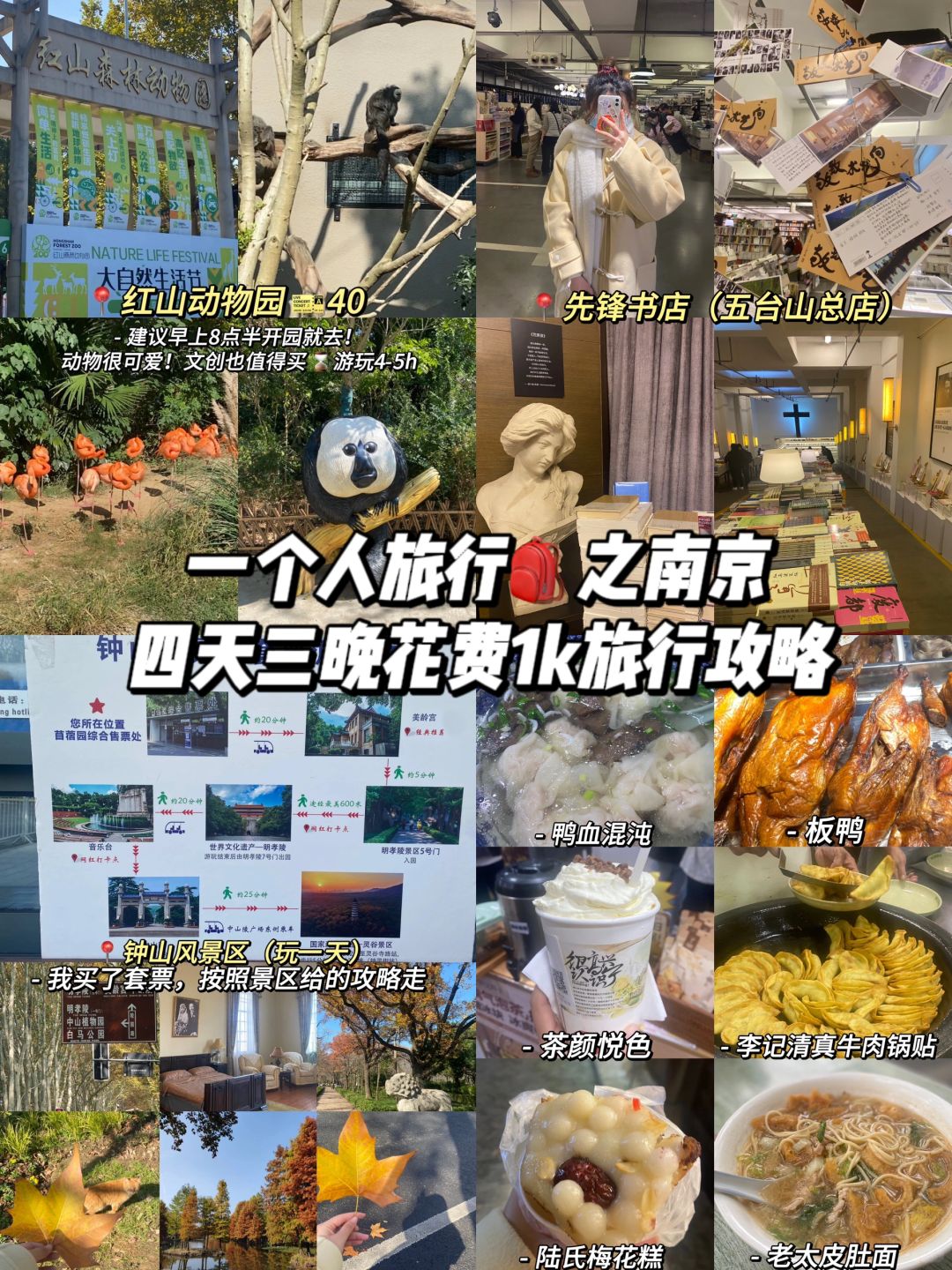 一个人旅行之南京🍁四天三晚花费1k攻略