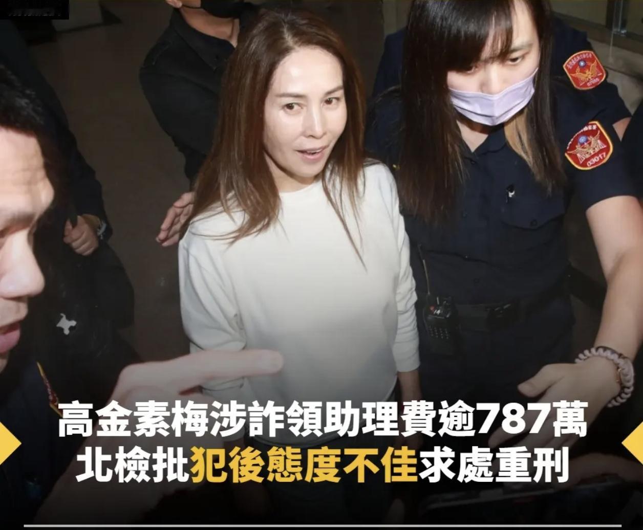 金素梅被台伪政府诉刑12年，金素梅为台湾省无党籍立委，长期抨击民进党执政以及推动