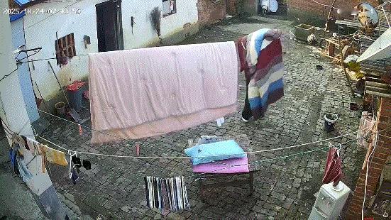 挺好，什么都不损失就把风险排除了