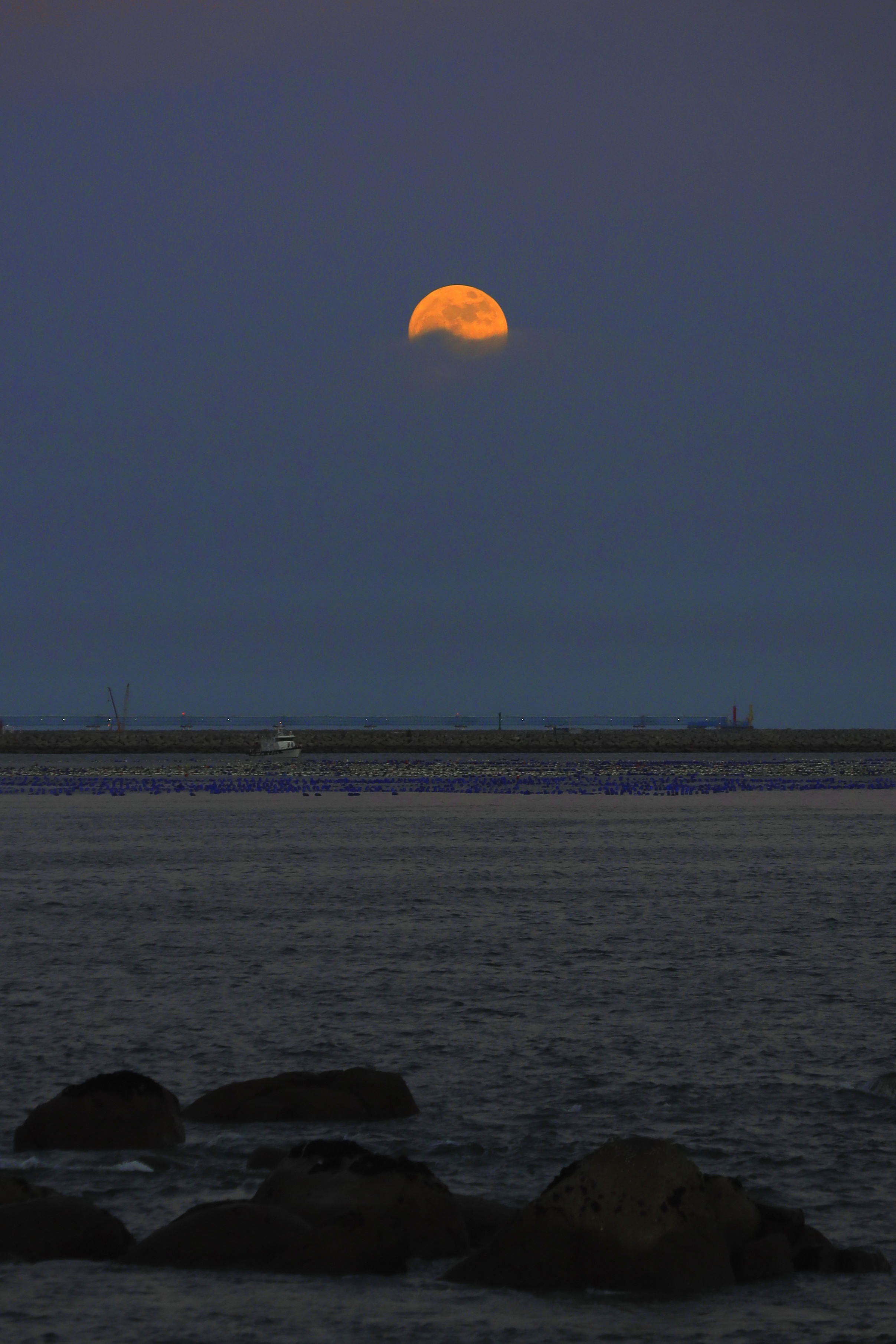 人生如梦，我投入的却是真情。世界先爱了我，我不能不爱它。  丨汪曾祺 