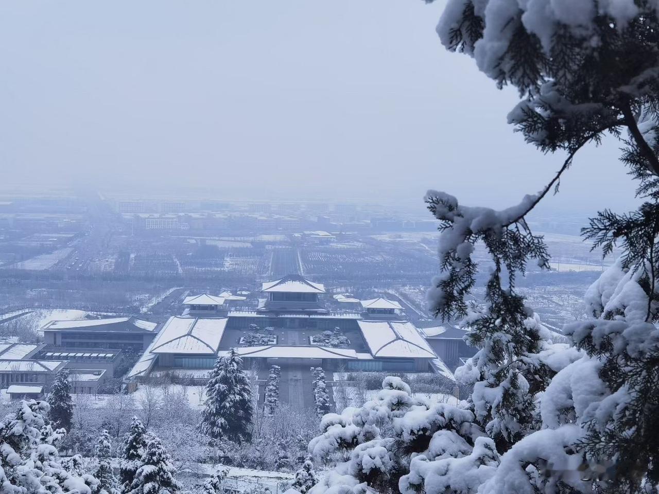 儿子博士，父母在村里抬不起头，背后原因令人心酸

村里人都在背后议论：“读那么多