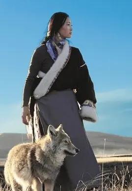 女画家李微漪说，认识狼王格林，源自牧民给我说的一个事儿，格林的父母是怎么死的，故