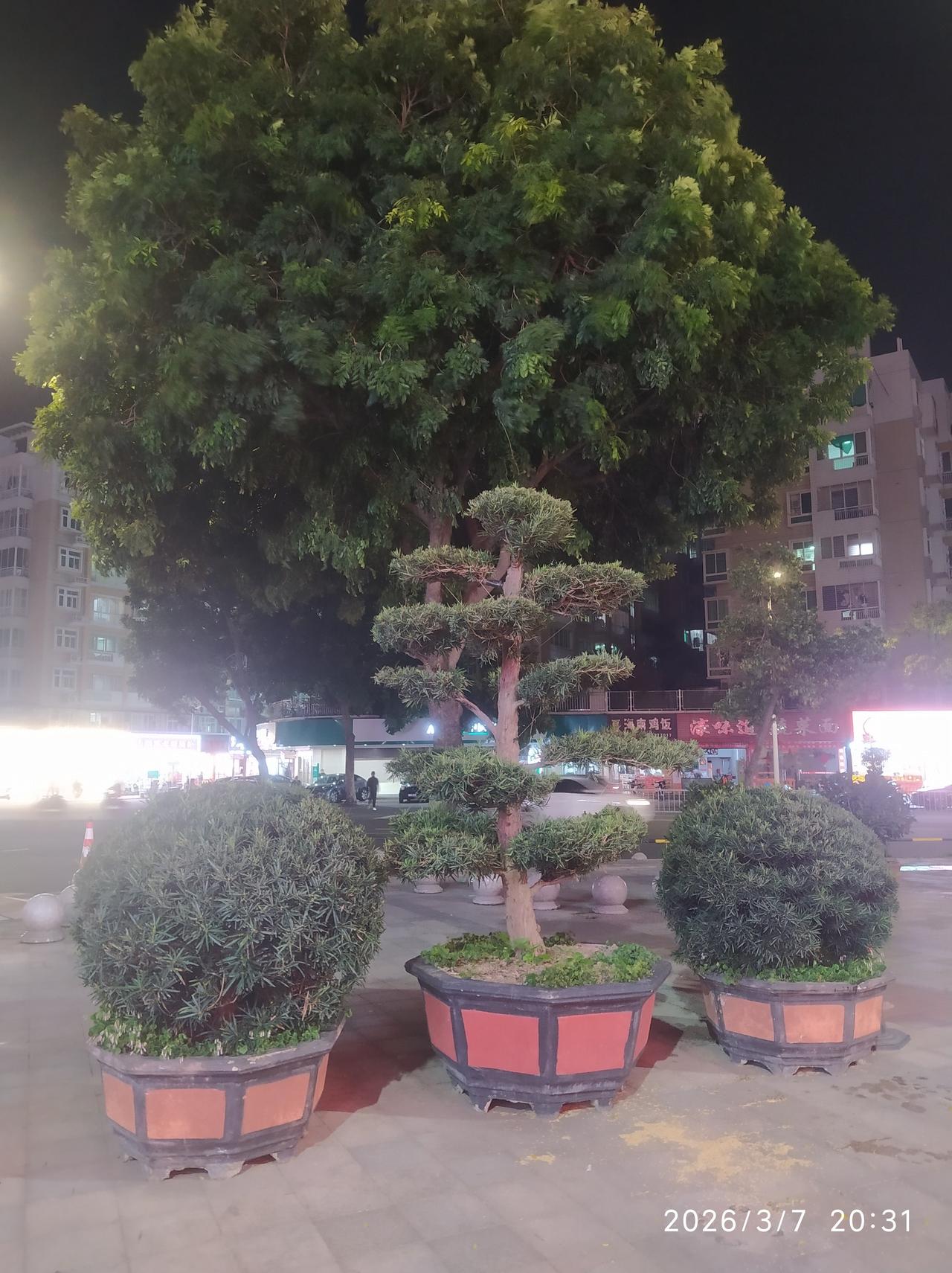 为了收集头条素材，聚餐后回家，我选择步行，一共走了8000多步，花了40多分钟。