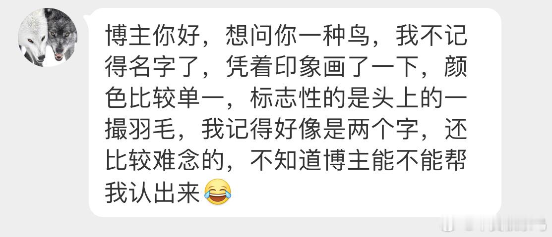 #小天才的鸟类绘画# 头上自带小问号的【珠颈斑鹑】同学们 下次继续画[开学季] 