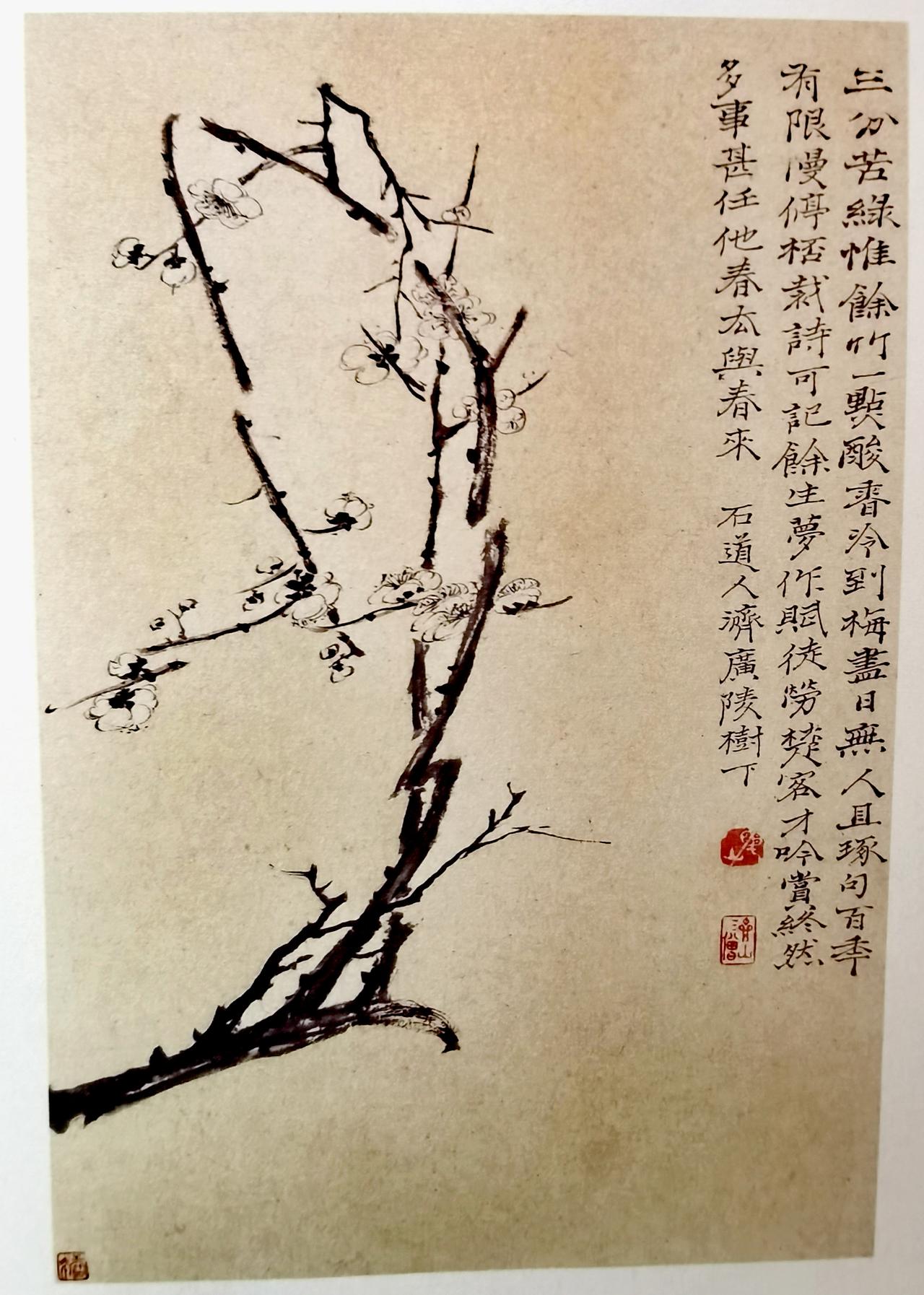 白梅花，以浓淡干湿墨色画出，足见功底。这是石道人在树下画的，笔墨不多，沾一二次墨