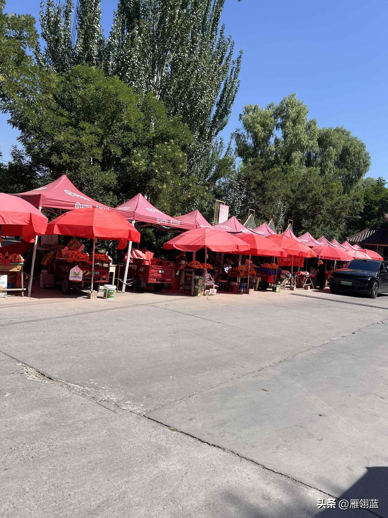 为了买到更为正宗的兰州安宁白粉桃，专程开车去了一趟白粉桃地理标志产地黄家滩村红艺