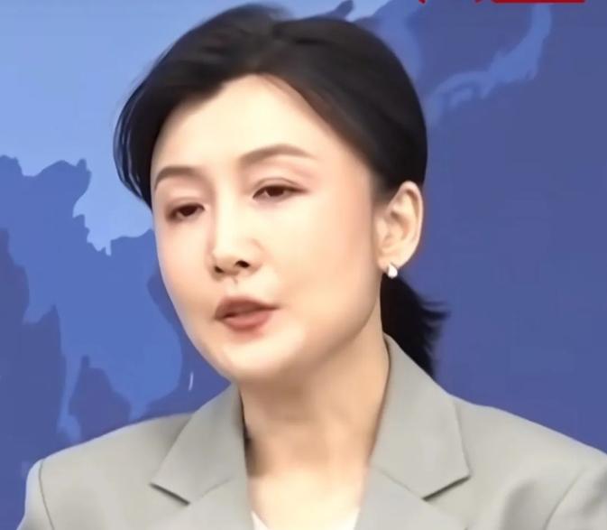 是可忍孰不可忍！敢在大陆公然挑衅一中原则，还留其何用？
 
就在前天，4月22日