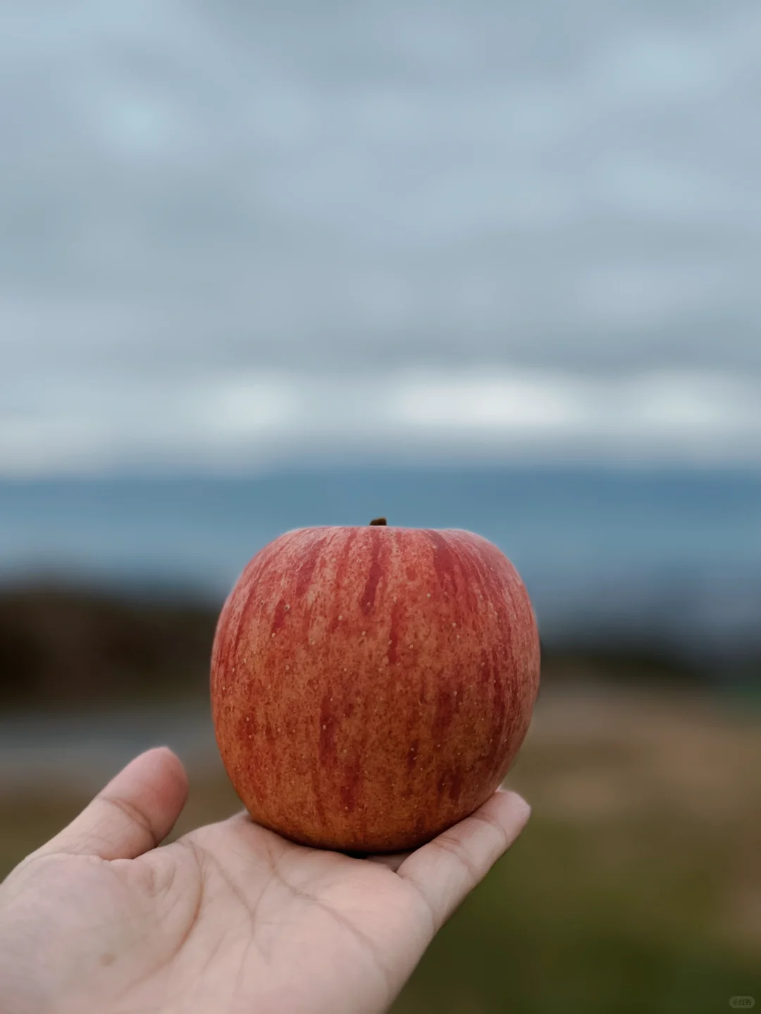 不是抽象，这只苹果真的很🍎！