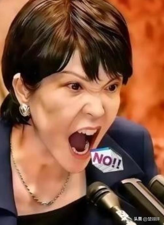 就在所有人都觉得该收手的时候，两个日本巨头，三菱和索尼，突然在中国市场砸下了重注