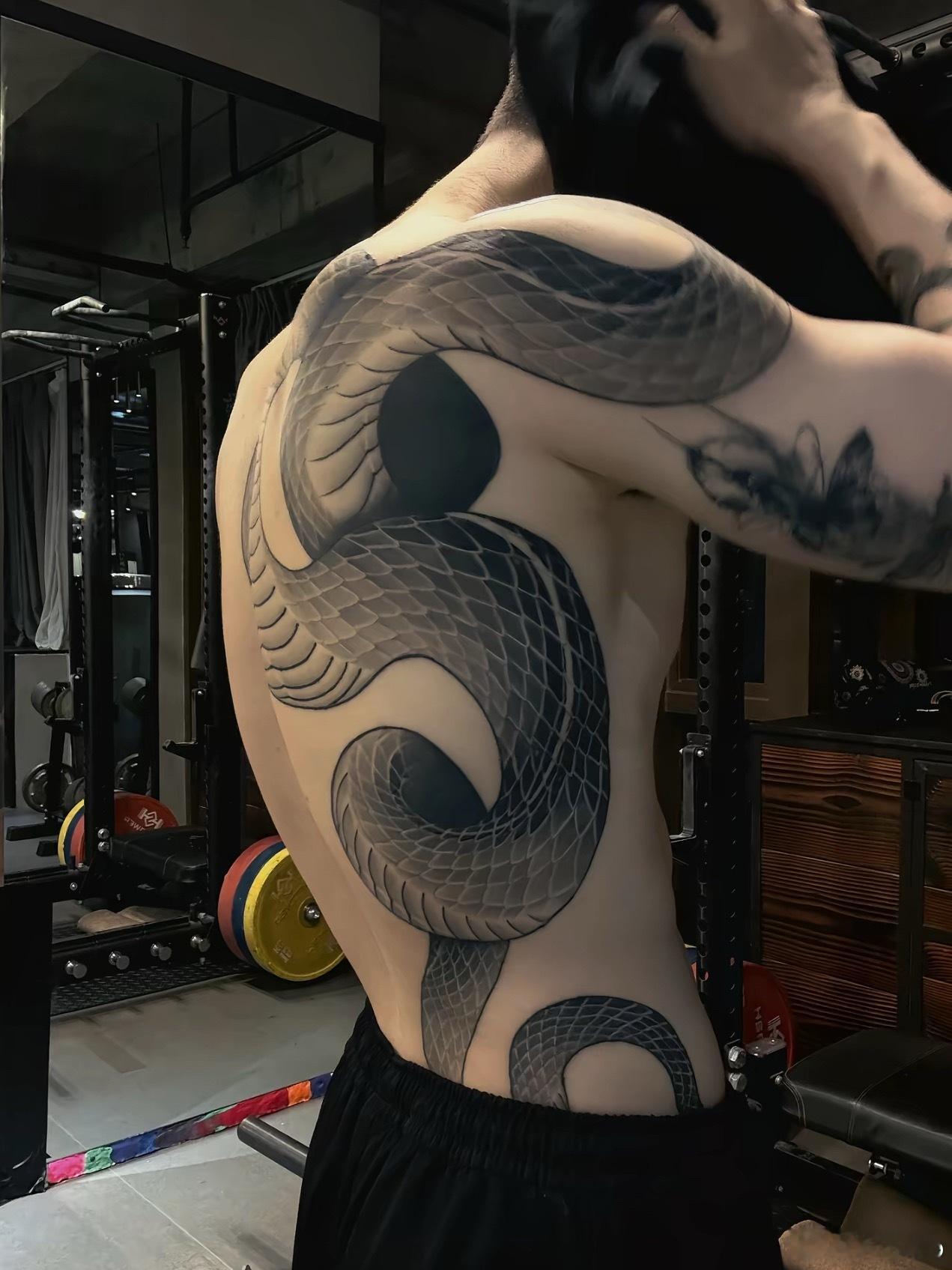 🐍