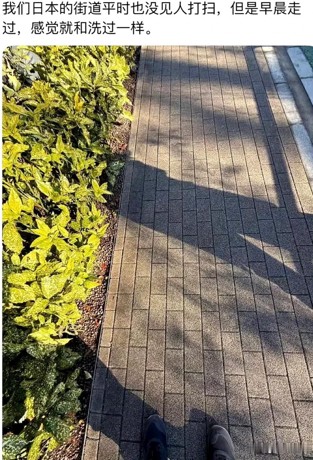 这些精日为了吹日本爱干净，连日本环卫工的辛勤付出都被无视了！有个精日称它们日本的