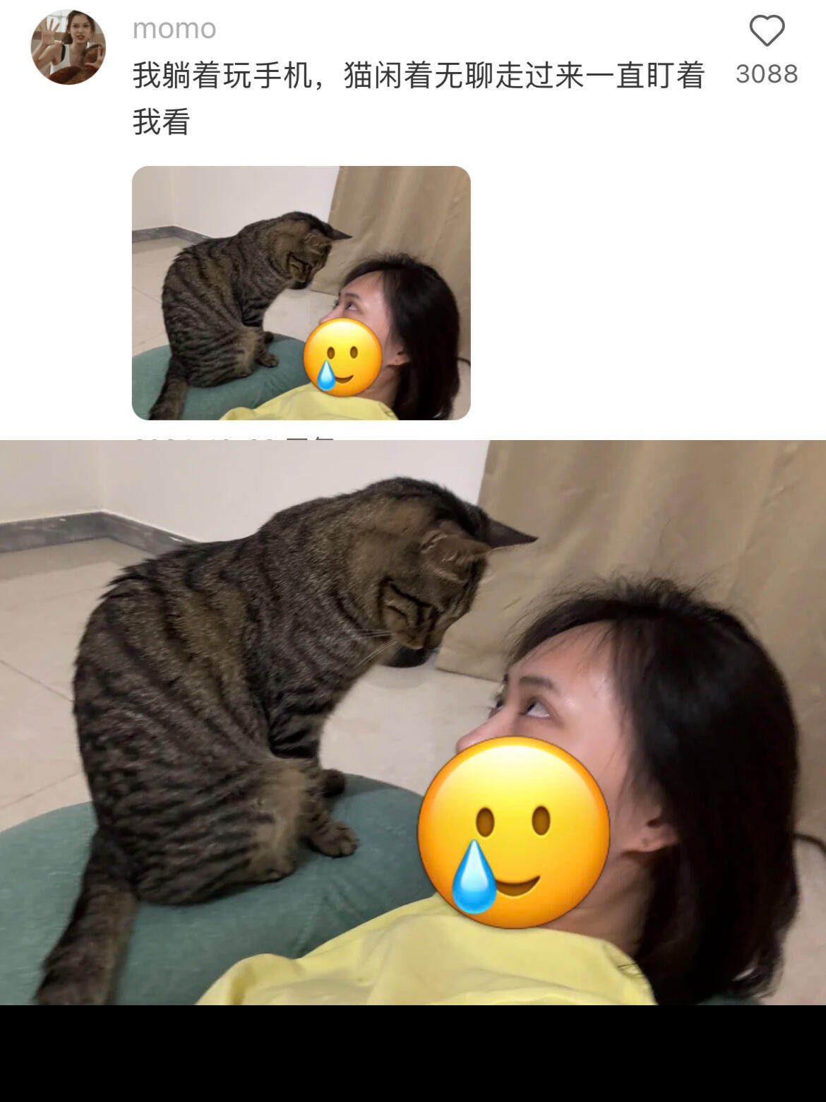 人，咪比想象中的更爱你 ​​​