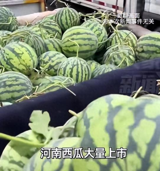 河南，在北京创业的范忠原看到老家西瓜大丰收，拉了18吨到通州帮瓜农打开销路。定价