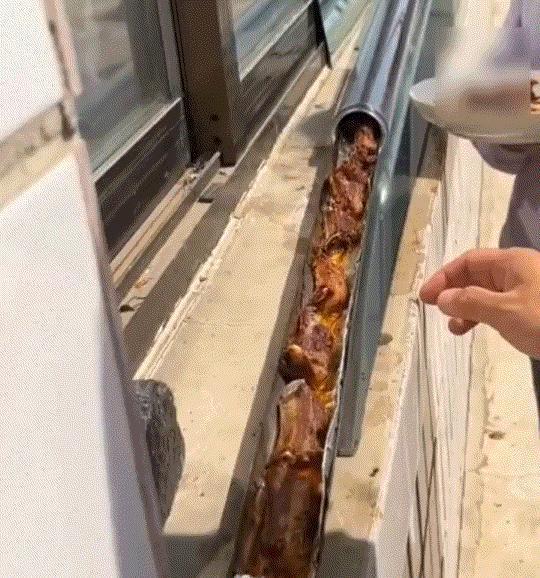 河北保定，一男子把家里淘汰下来的太阳能管子往院里一摆，半小时后拆开一看，羊排、鸡