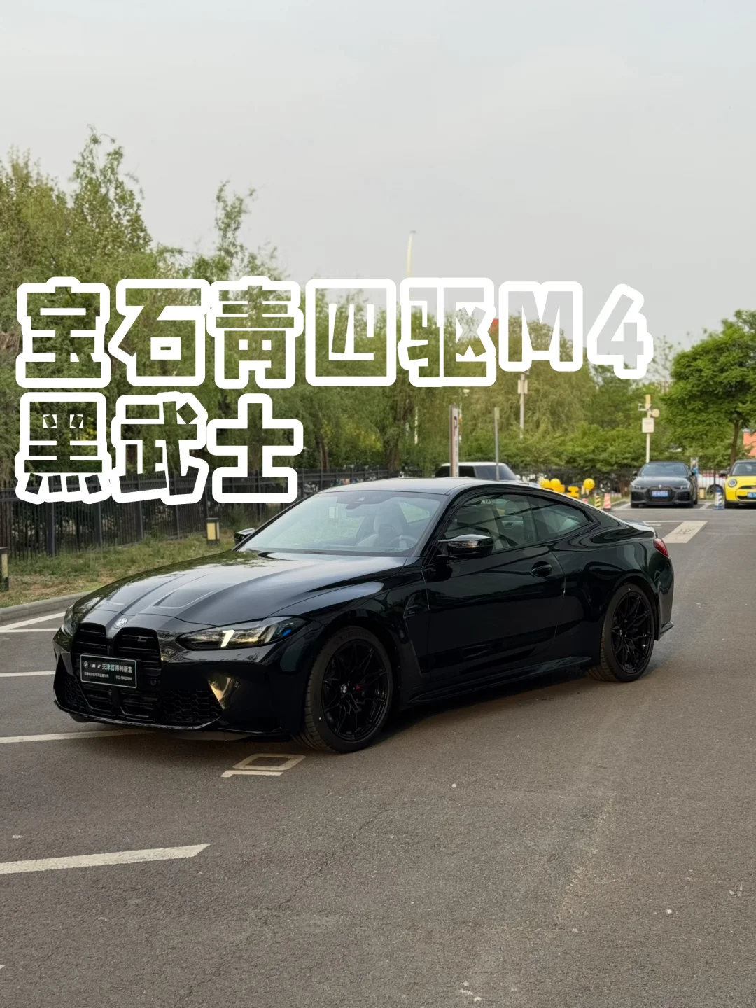 M4四驱 宝石青/银石白内饰 闭眼入