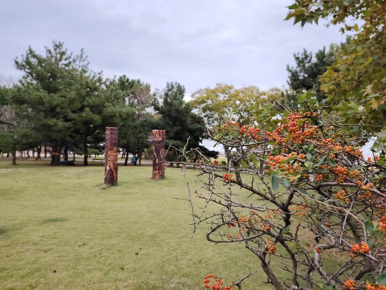 本周青岛将在“瑟瑟发抖”中度过前半段时间，阴冷潮湿将常伴左右，虽然温度不算低，但