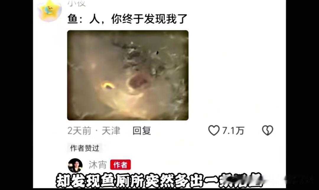 鱼缸过滤仓藏了条鱼独自存活数年，天天靠鱼粪过日子，捞出来后还不吃饲料


有位小