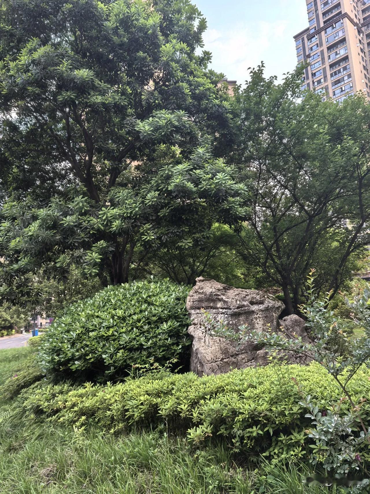 天命与人事的千年叩问：再读《后出师表》的现代启示
（2025年4月29日）
建兴