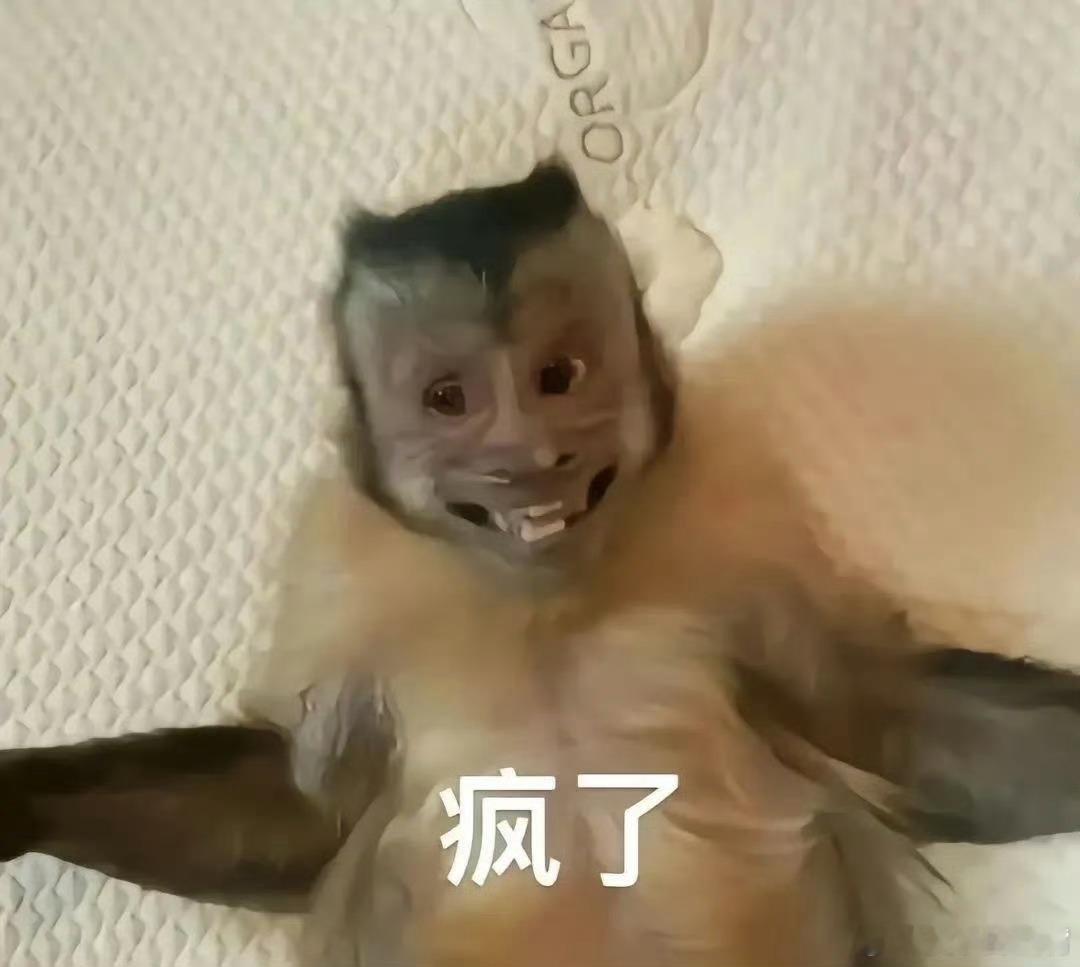 因为好奇点开了一个古偶中泰合拍的腐剧！我真的…我果然也不是什么都能吃得下！我们腐