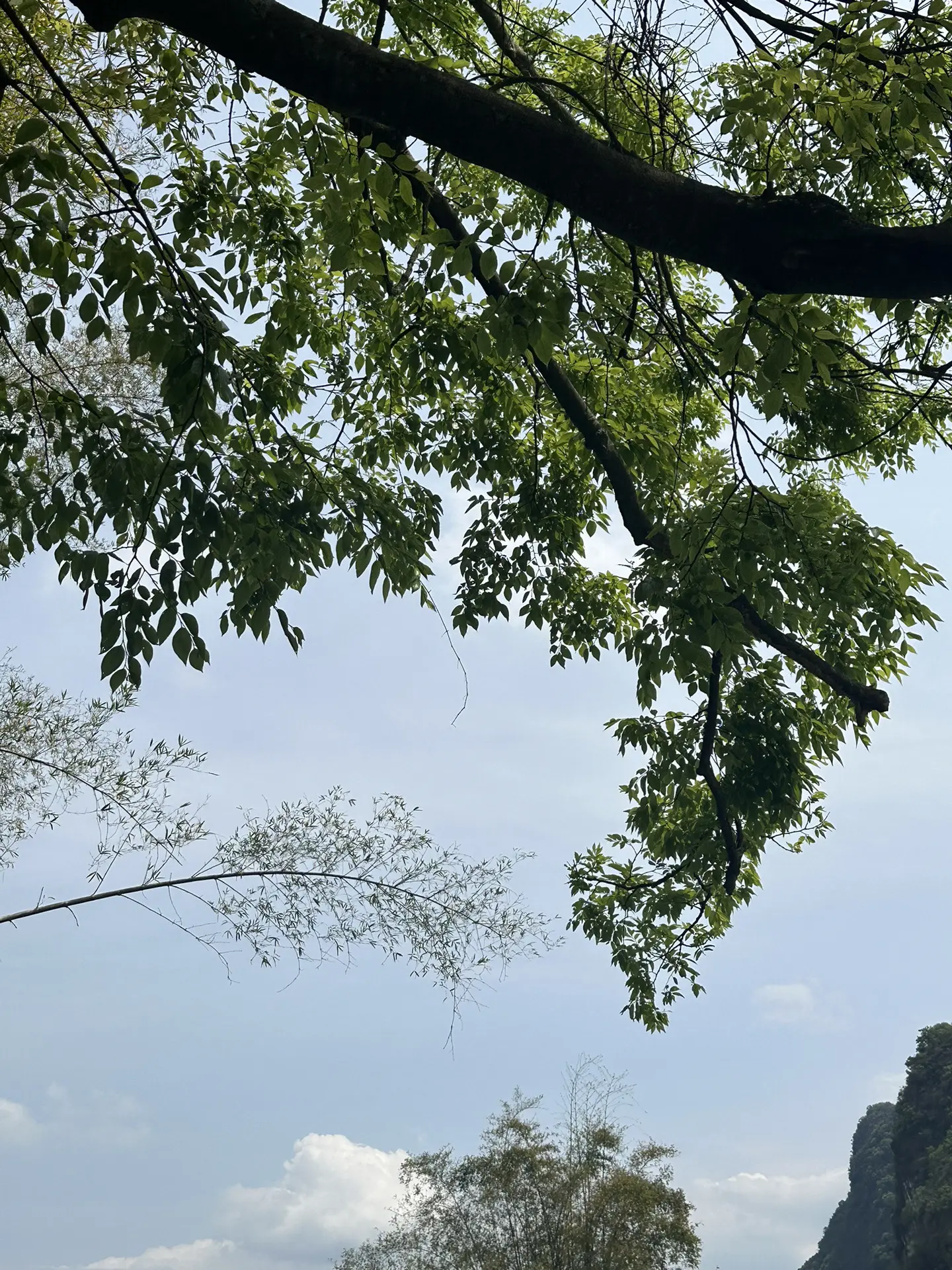 《春日依恋》by不辣米线！明艳女星×天之骄子！破镜重圆➕开篇即重逢！
娇纵任性的女明星和外表高冷内里闷骚的天之骄子，谁懂这种设定啊！真的超级好嗑的！
高中时是女追男，最后女主提出分手。两人就此分开，分开多年，男主仅凭一个背影就认出女主，并且将女主说的话记得清清楚楚。两人分开后从未忘记彼此，男女主有彼此试探互相拉扯，但男主永远会偏爱女主，真的超喜欢这种。最后男主认清自己的心意来到女主拍戏的地方表白求复合！尊嘟超级好看！超级甜！