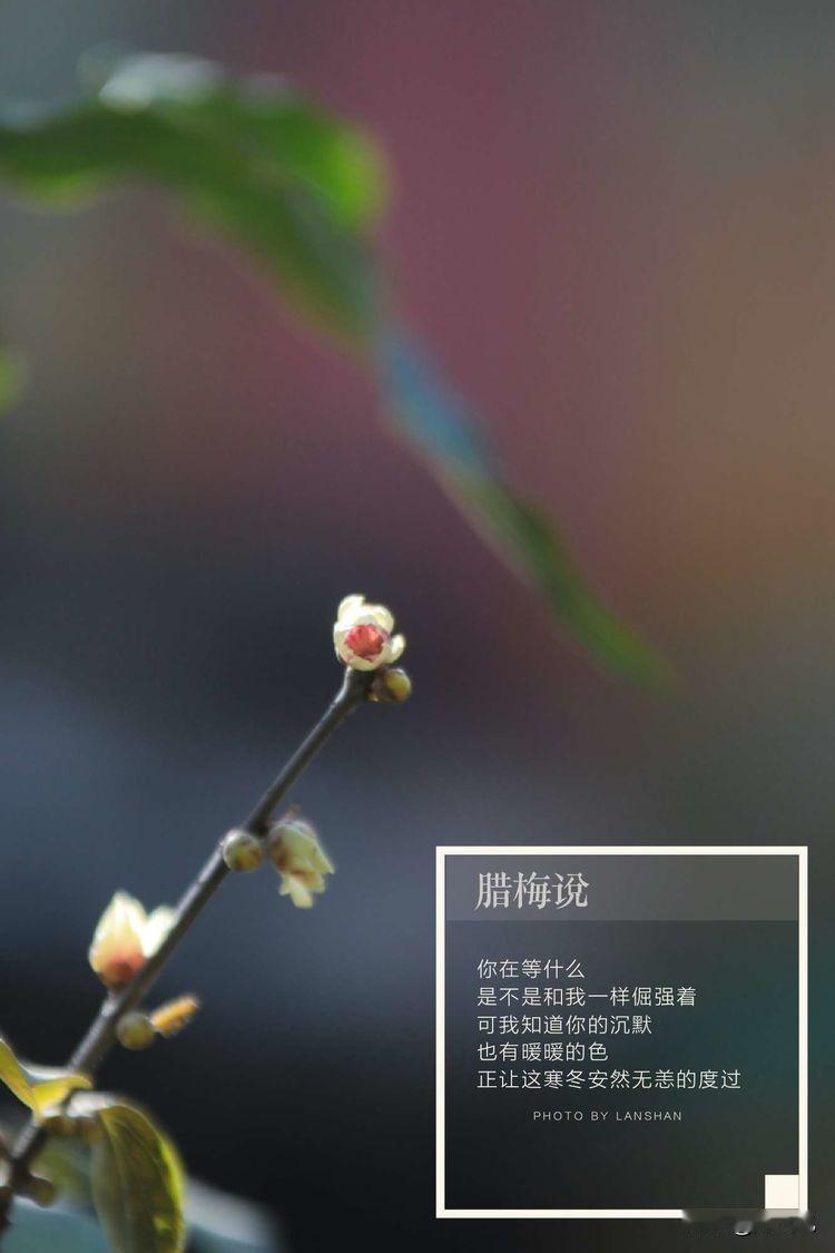 上联：年年顺顺利利，
下联：岁岁平平安安。