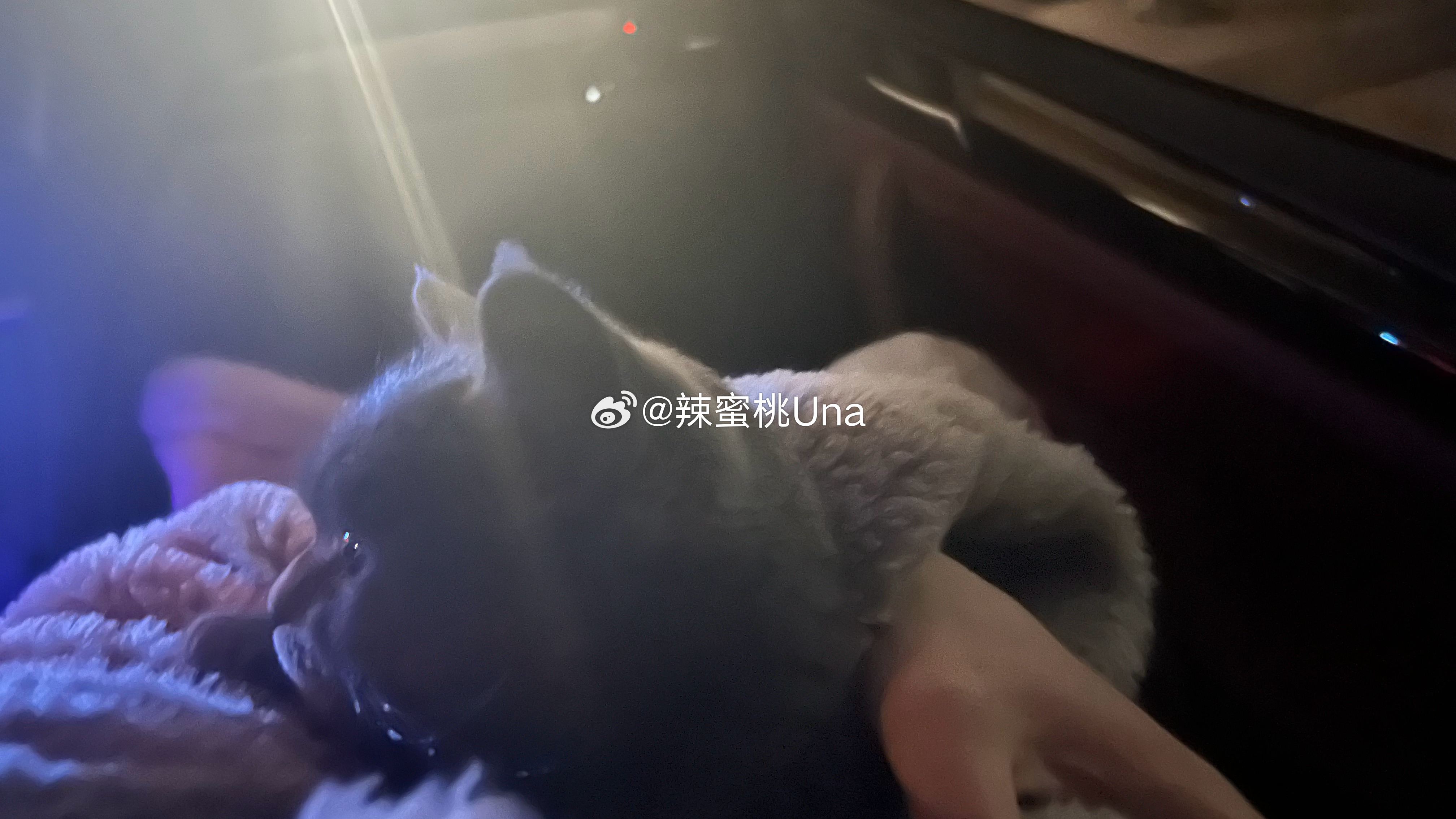 希望你被这个世界爱着 希望你有我会快乐 ​​​