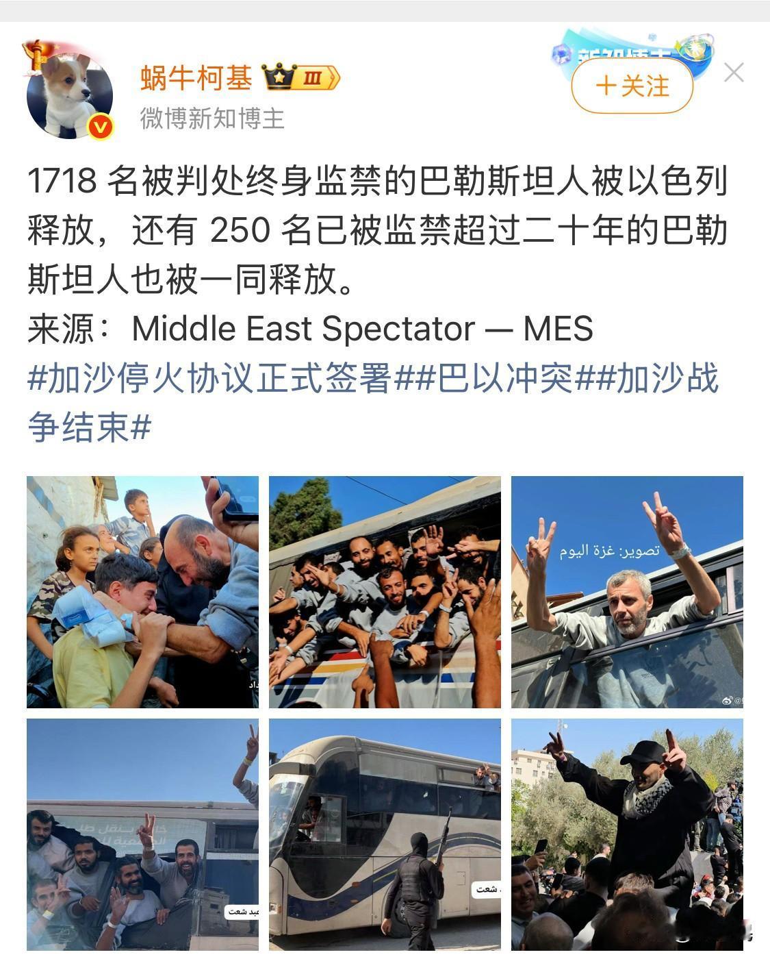 他们的获释不是因为以色列的仁慈，而是哈马斯坚持斗争的结果。

没有阿克萨洪水行动