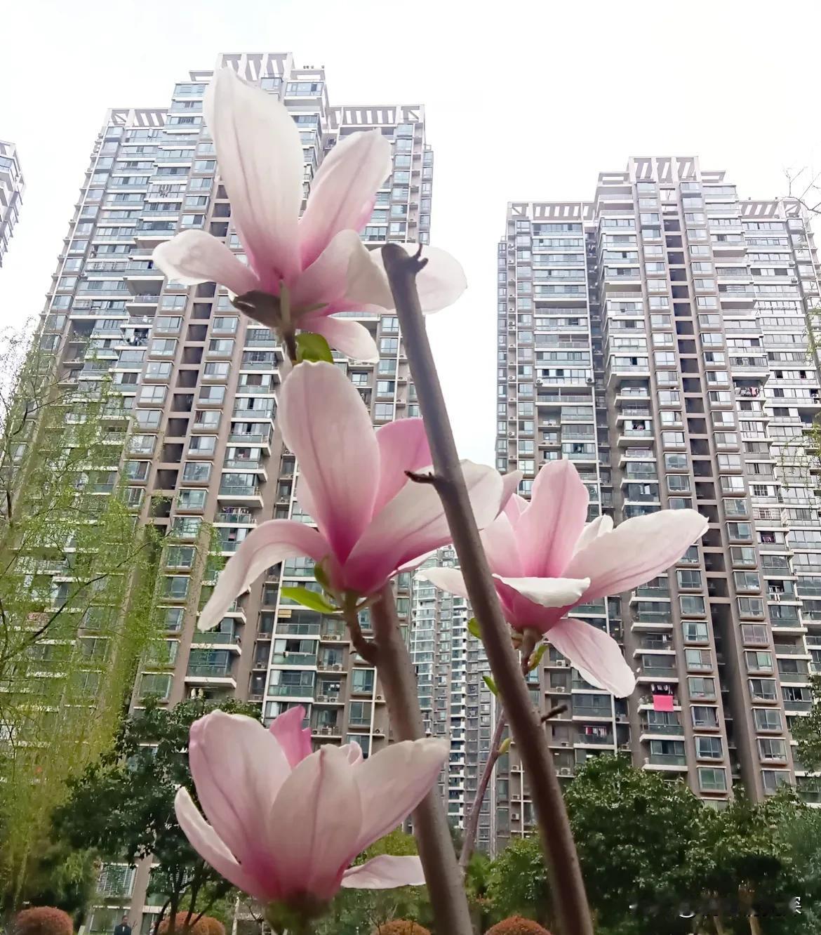 我今天去物业交物业费，里面坐了三个人，一个看样子应该是领导，另外一个是财务，还有