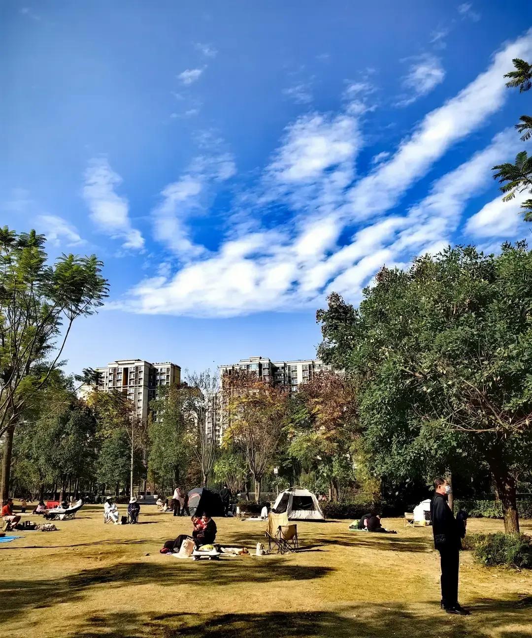 成都人民公园草坪上密密麻麻全是人，连下脚的地方都难找。
3月连续阴雨刚停，太阳一