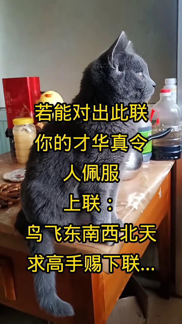 若能对出此联，你的才华真令人佩服。上联：鸟飞东南西北天，求高手赐下联。