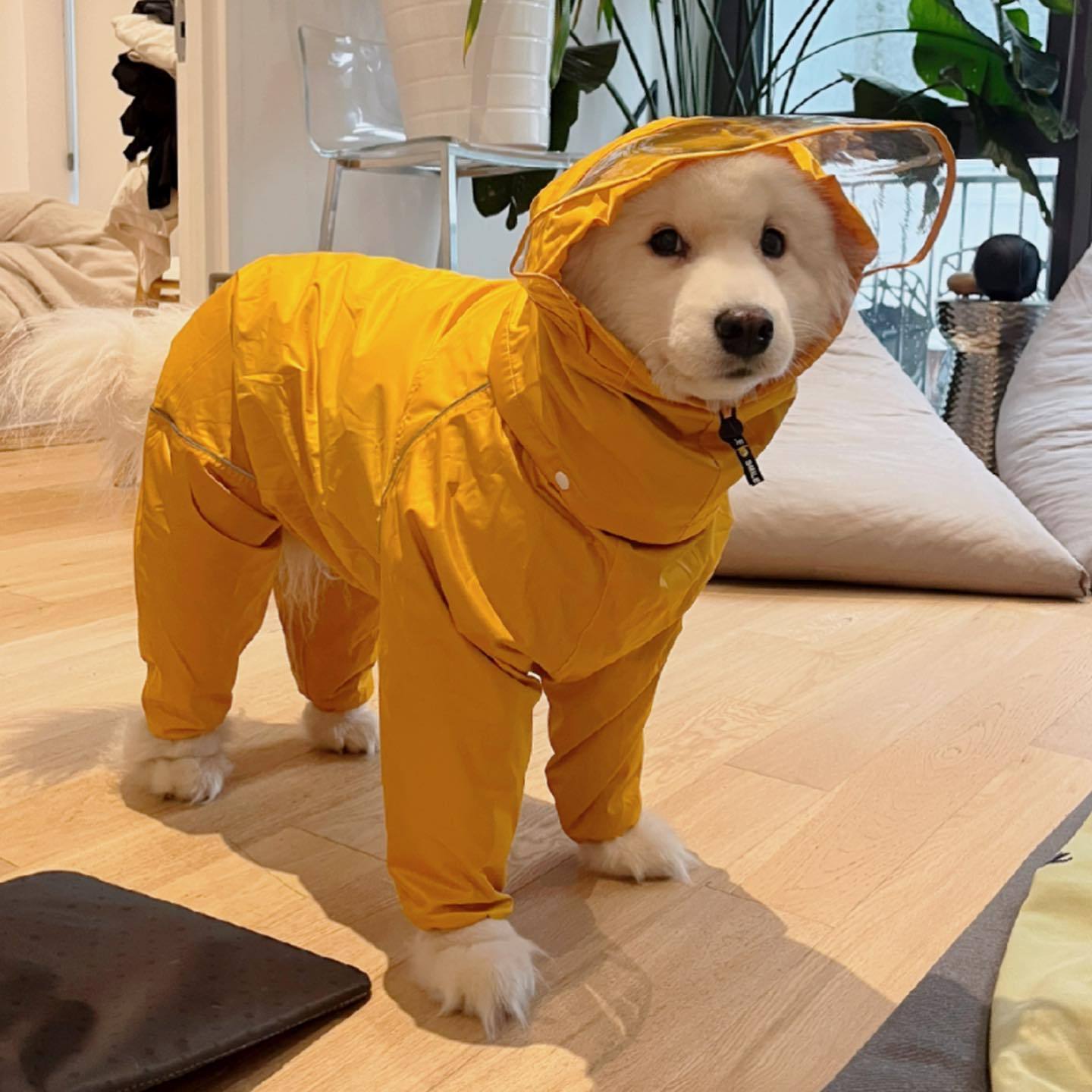 宝宝雨衣买了，雨停了 ​​​
