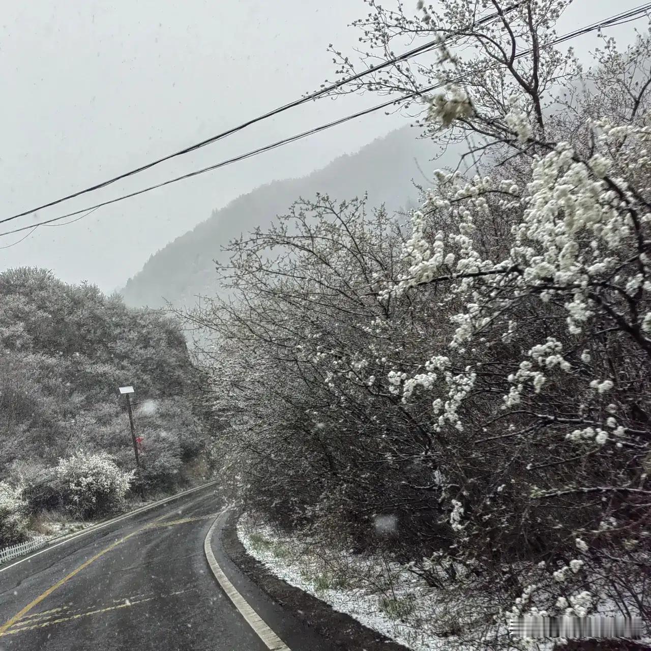 夏天的雪
文11珂芃·原创
夏天的兰州
本该是立夏时节
天气从高温天气30℃
直