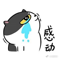 上海暴雨 有被温暖到！从公司出来 本来走到便利店去买伞的 看见伞太丑了就打车去了