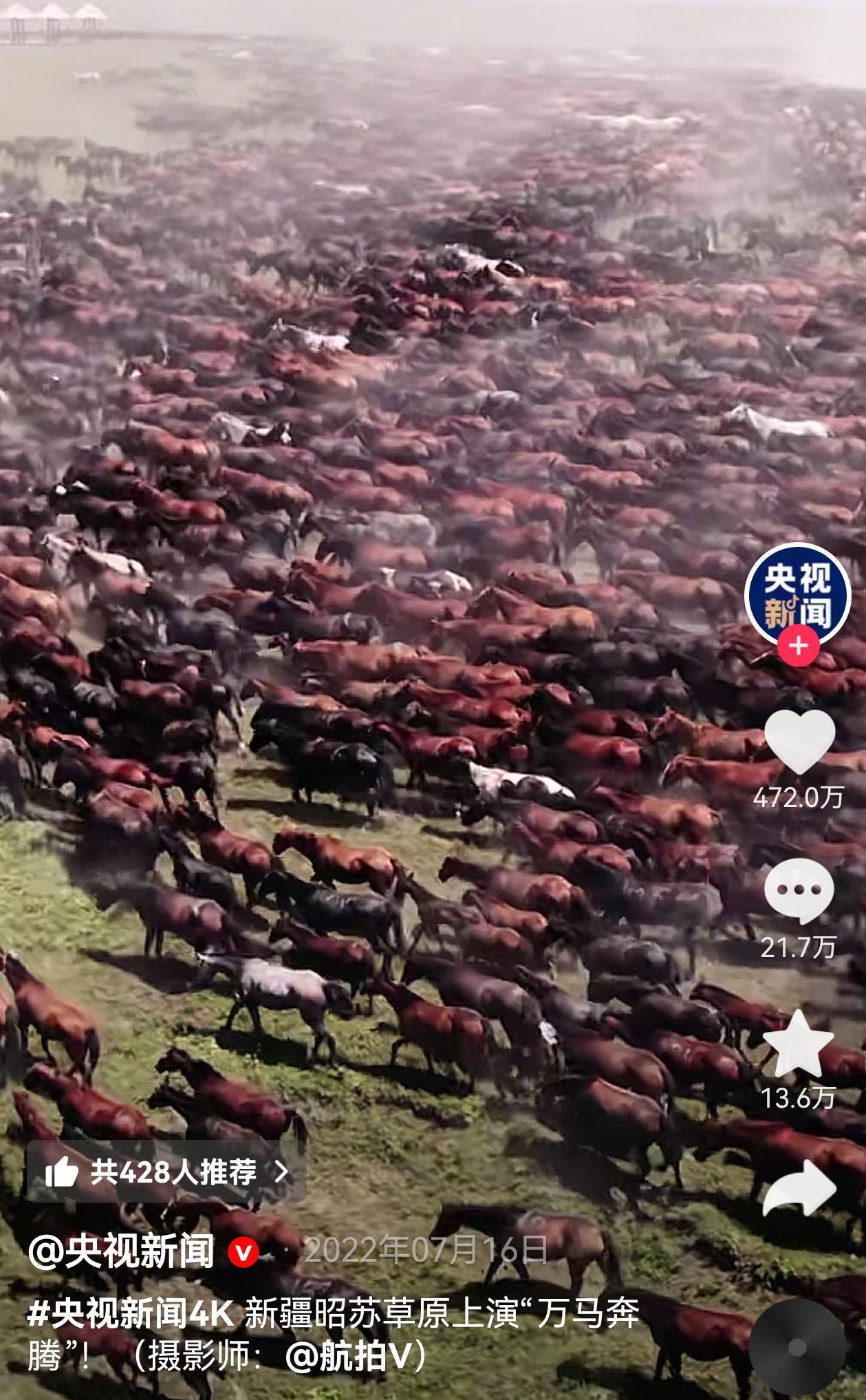 央视在2022年发的这个万马在草原上奔腾的视频真的很壮观！
马年就要有这样的活力