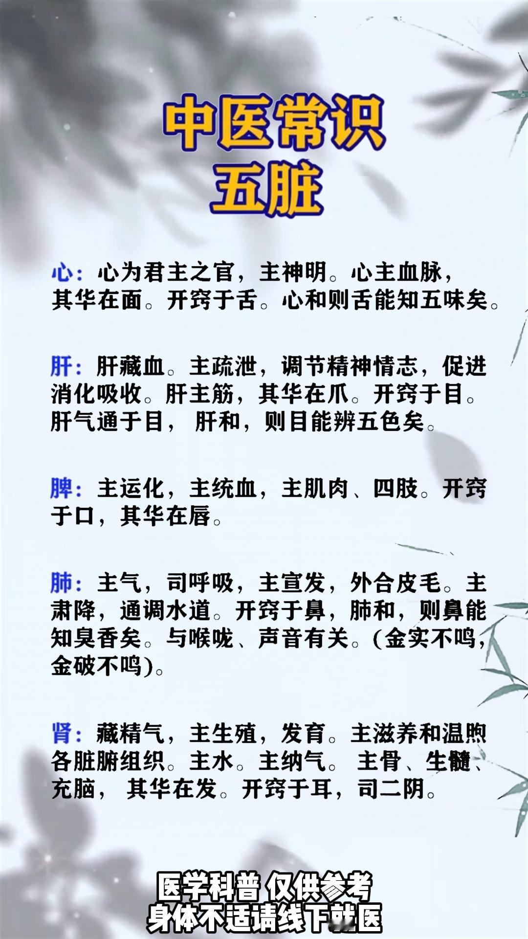 中医常识五脏#中医##中药##健康#