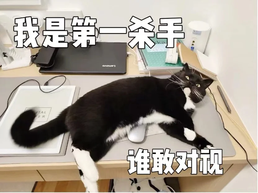 单肾小猫的疫苗选择｜关于妙三多疫苗